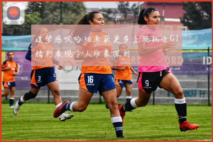 追梦感叹哈珀未获更多上场机会G1精彩表现令人印象深刻