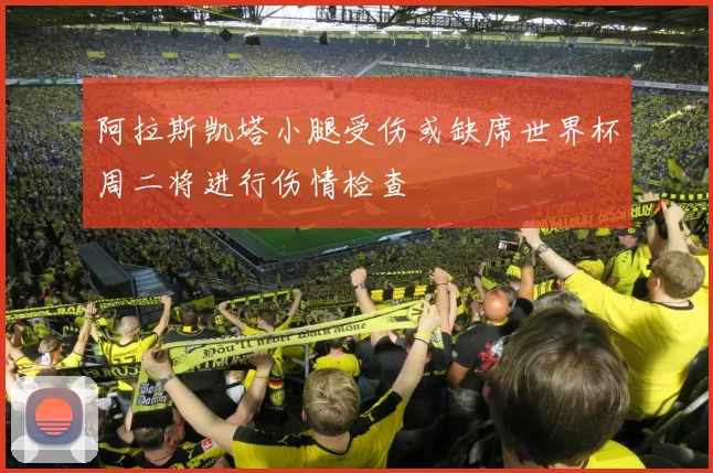 阿拉斯凯塔小腿受伤或缺席世界杯周二将进行伤情检查